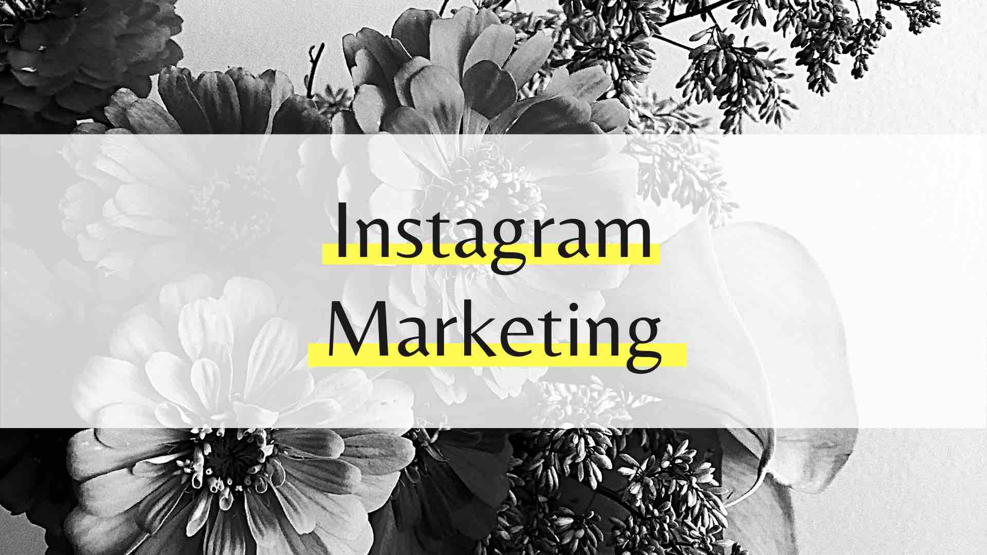 Instagram Marketing – Alles was du als Einsteiger wissen musst