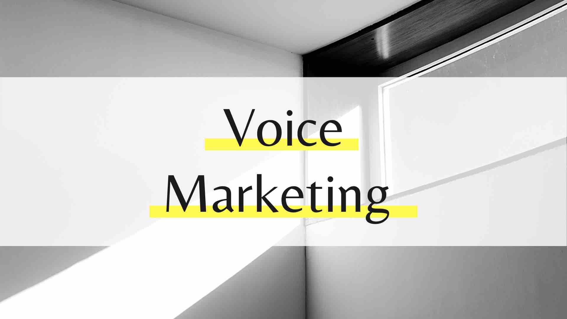 Voice Marketing