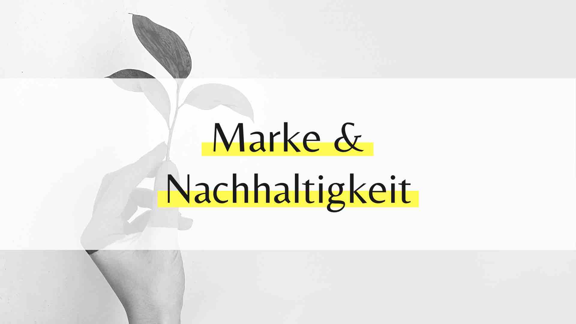 Welchen Einfluss hat ein Nachhaltigkeitsimage auf den Unternehmensumsatz?