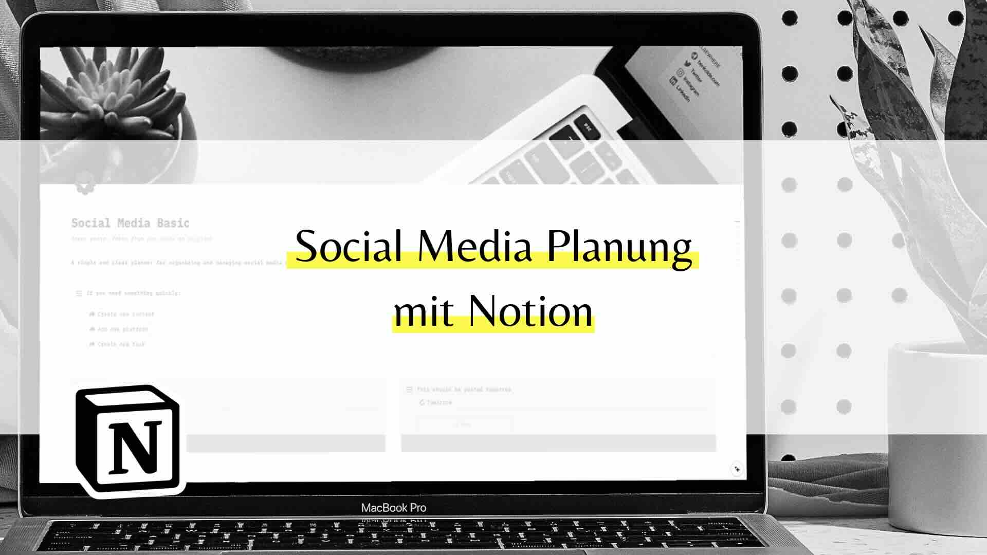 Social Media Planung mit Notion: Mein Tool-Tipp für stressfreie Content-Erstellung